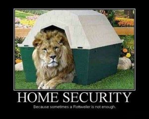 lion security systems